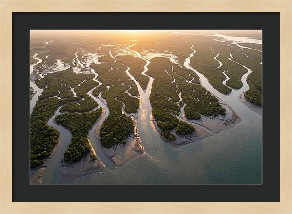 Sundarbans From Above