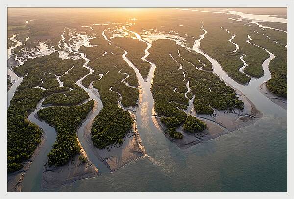 Sundarbans From Above