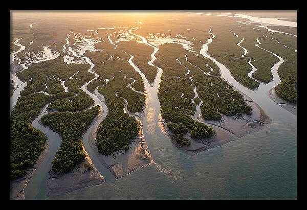 Sundarbans From Above