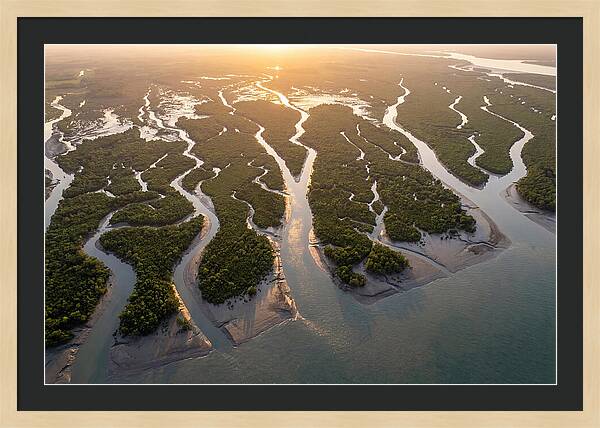 Sundarbans From Above