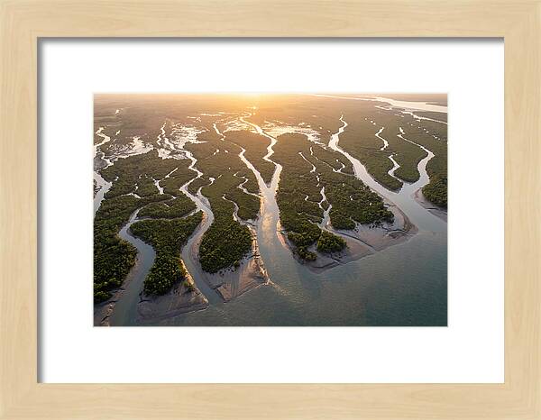 Sundarbans From Above