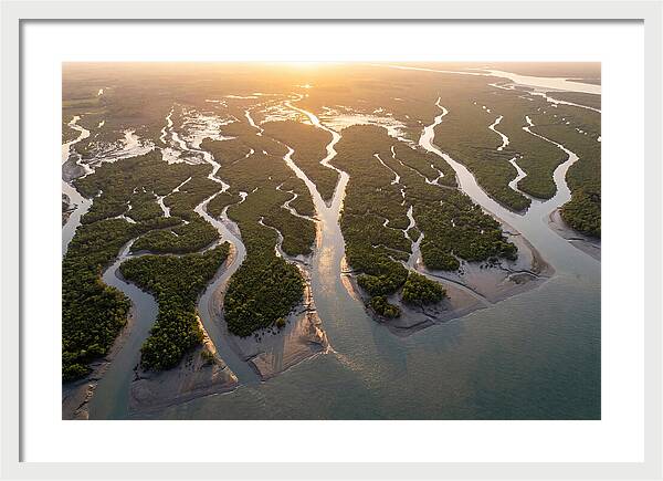 Sundarbans From Above