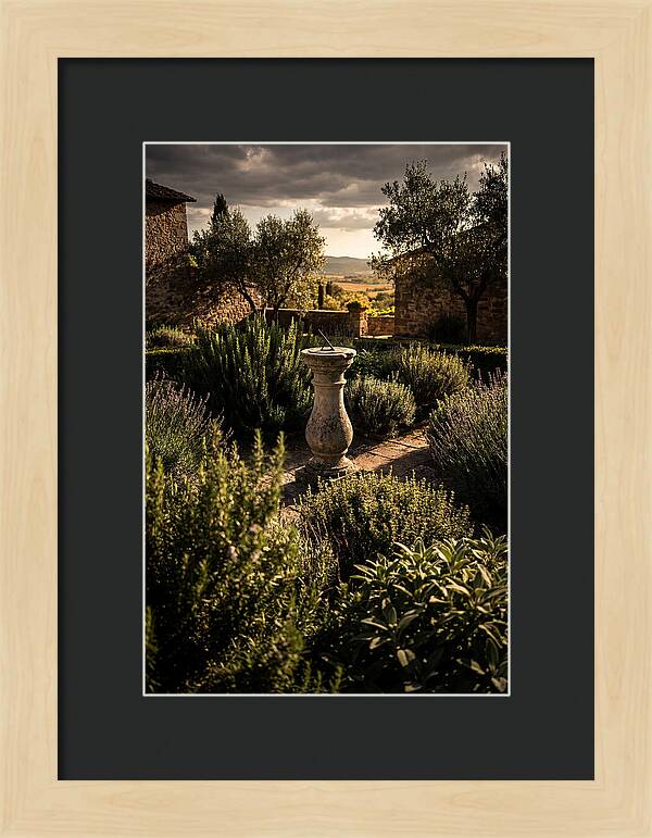 Sundial In Herb Garden