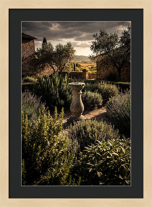 Sundial In Herb Garden