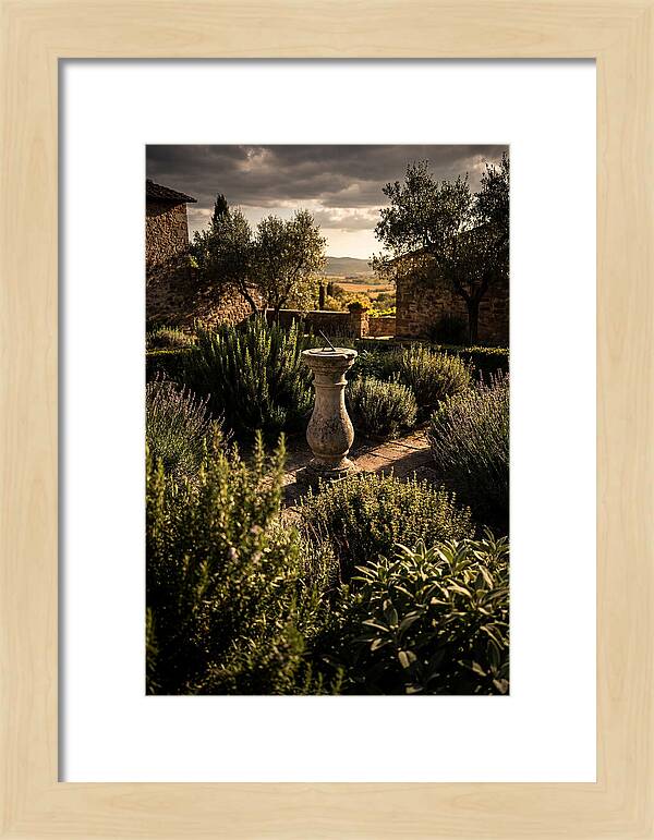 Sundial In Herb Garden