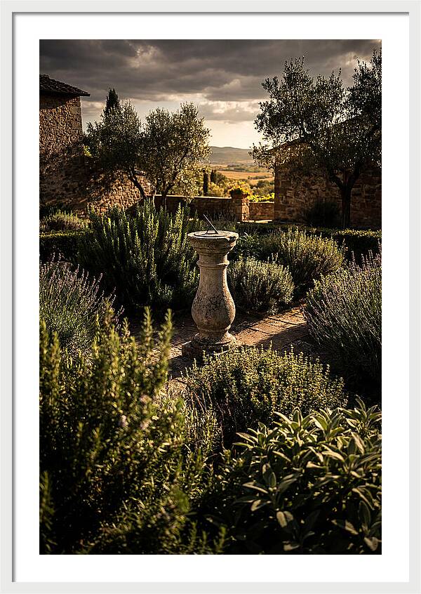 Sundial In Herb Garden
