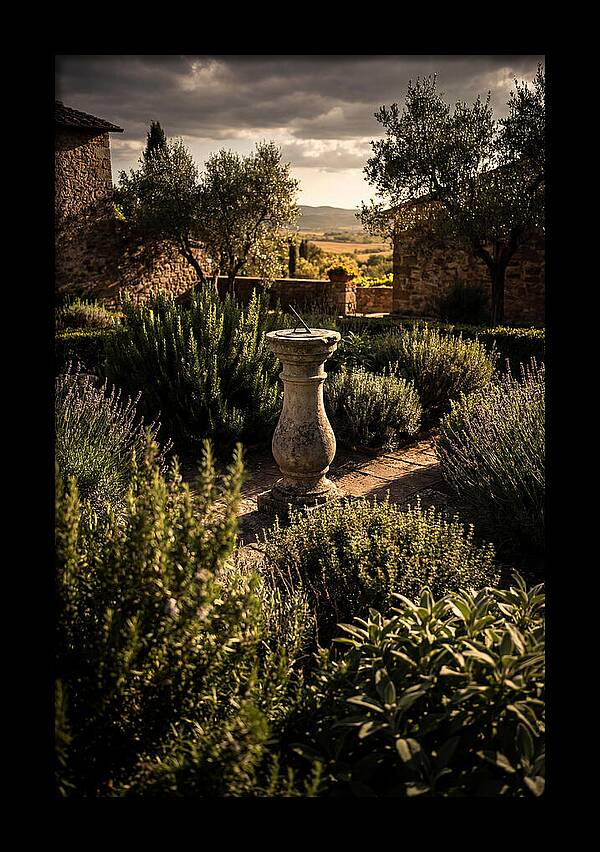 Sundial In Herb Garden