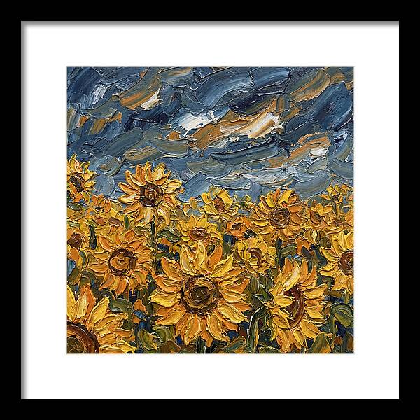 Sunflower Field In Bloom