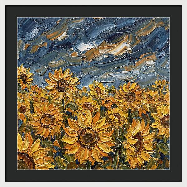Sunflower Field In Bloom