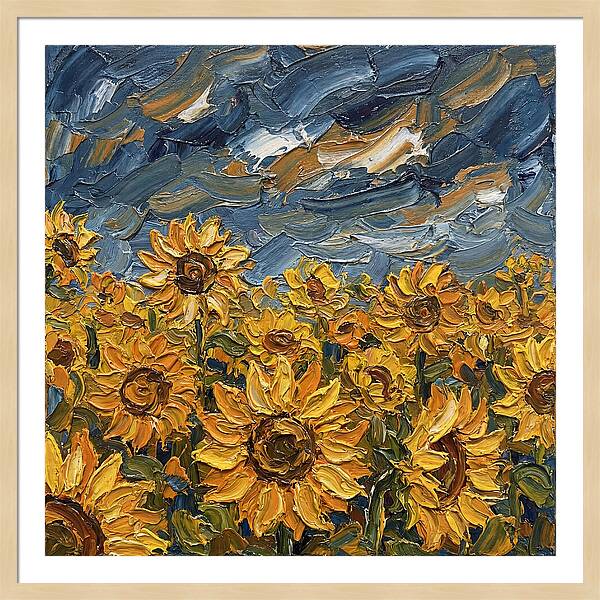 Sunflower Field In Bloom