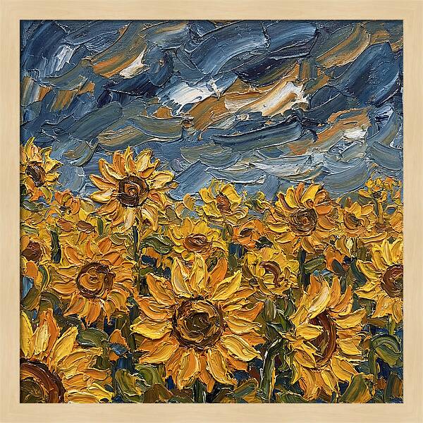 Sunflower Field In Bloom