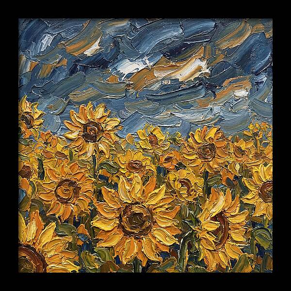 Sunflower Field In Bloom