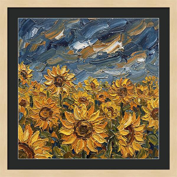 Sunflower Field In Bloom