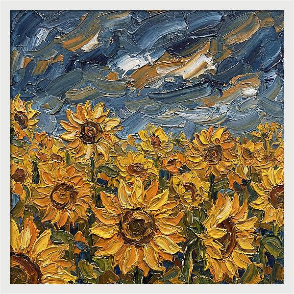 Sunflower Field In Bloom