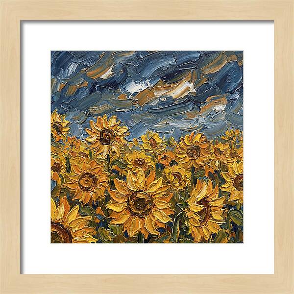Sunflower Field In Bloom