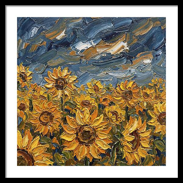 Sunflower Field In Bloom