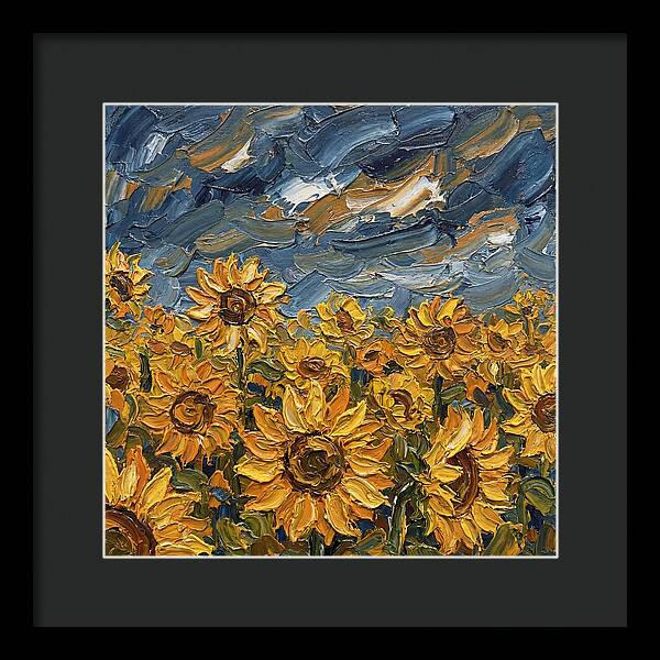 Sunflower Field In Bloom