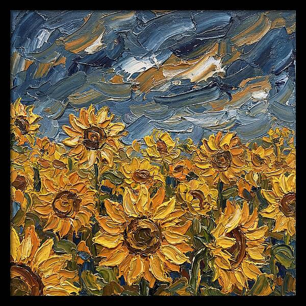 Sunflower Field In Bloom