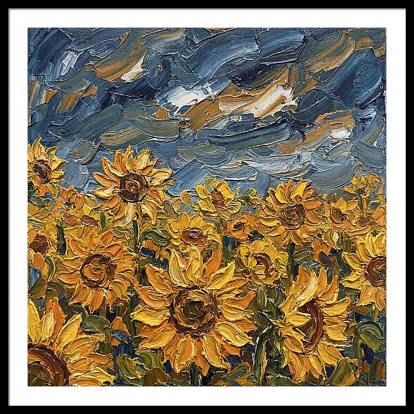 Sunflower Field In Bloom
