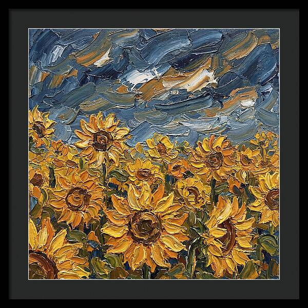 Sunflower Field In Bloom