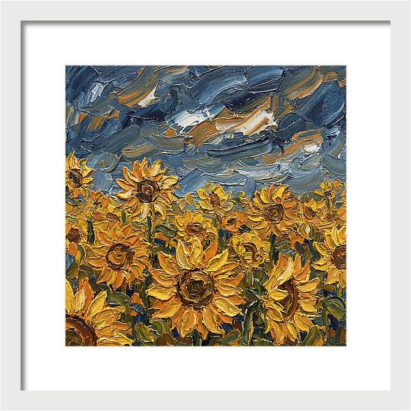 Sunflower Field In Bloom