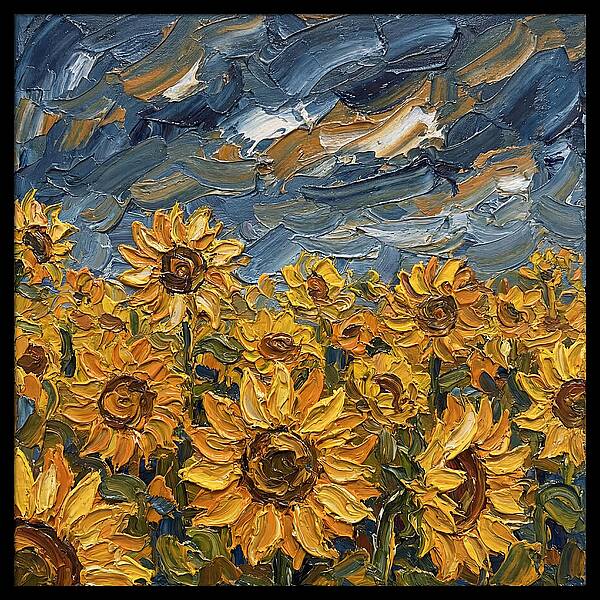 Sunflower Field In Bloom