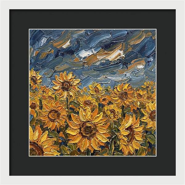 Sunflower Field In Bloom