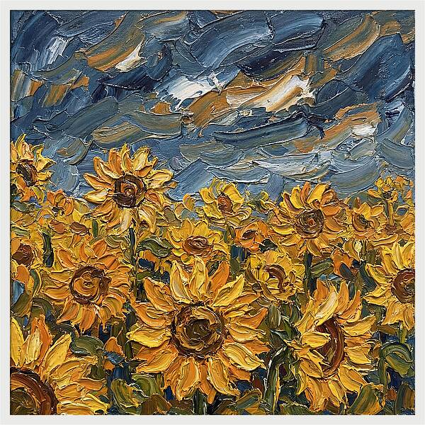 Sunflower Field In Bloom