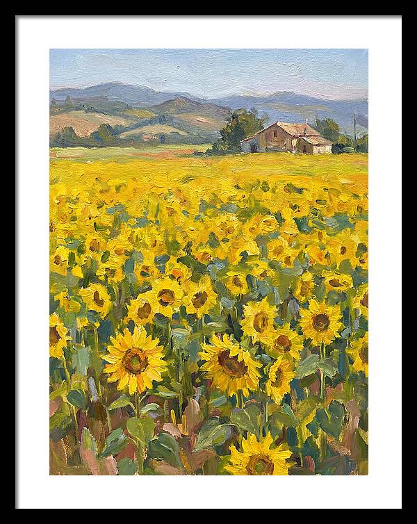 Sunflower Field Serenity