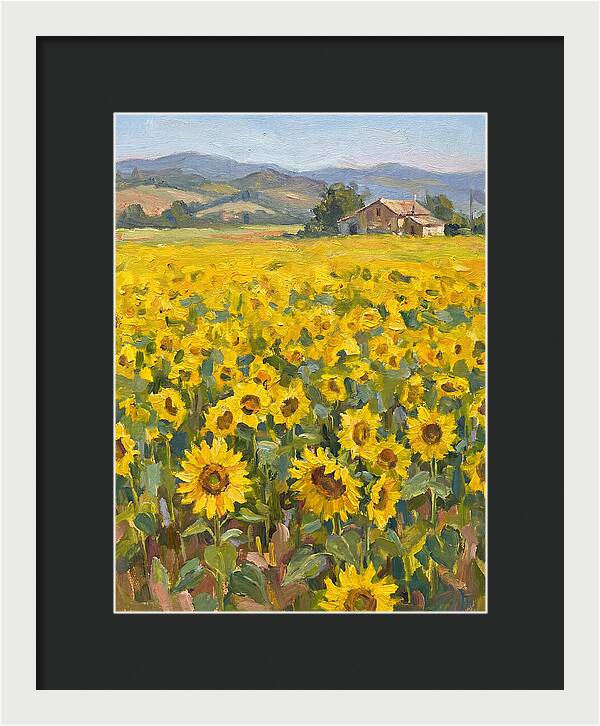 Sunflower Field Serenity