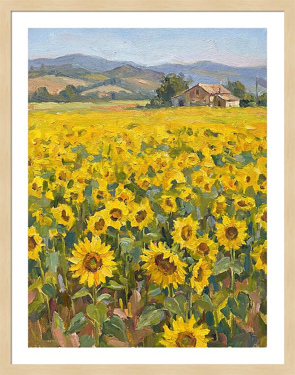 Sunflower Field Serenity