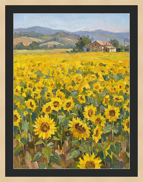 Sunflower Field Serenity