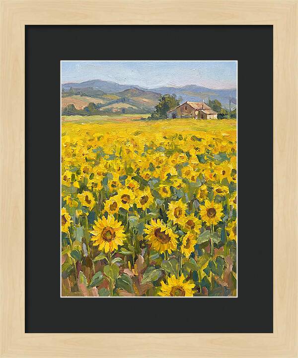 Sunflower Field Serenity