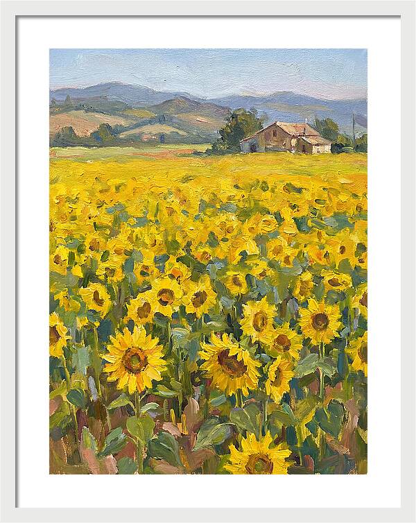 Sunflower Field Serenity