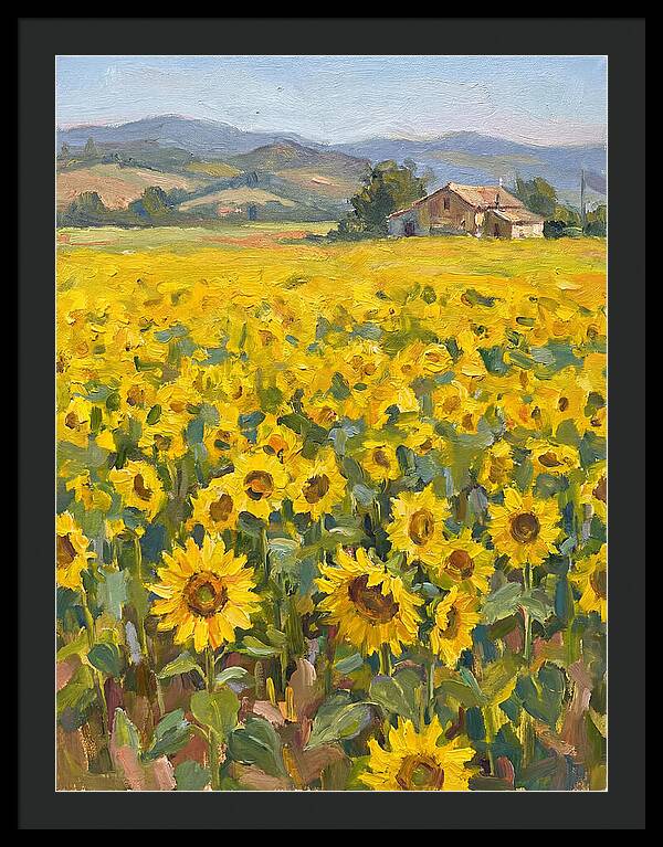 Sunflower Field Serenity