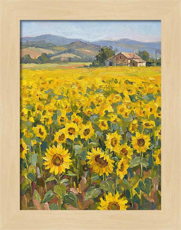 Sunflower Field Serenity