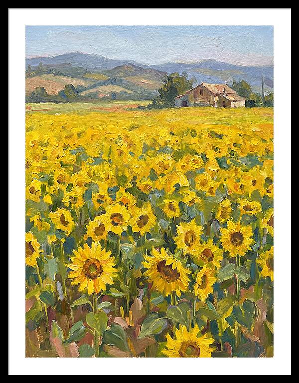 Sunflower Field Serenity
