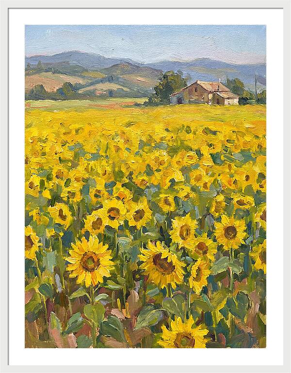 Sunflower Field Serenity