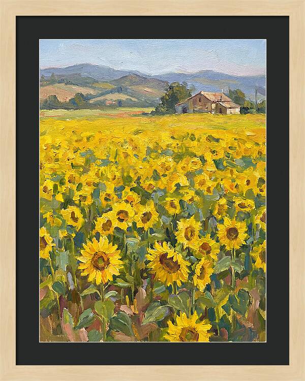 Sunflower Field Serenity