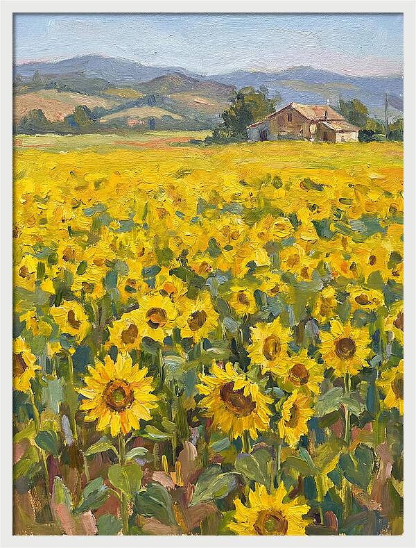 Sunflower Field Serenity