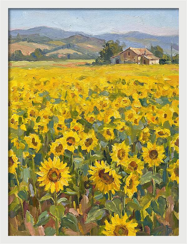 Sunflower Field Serenity