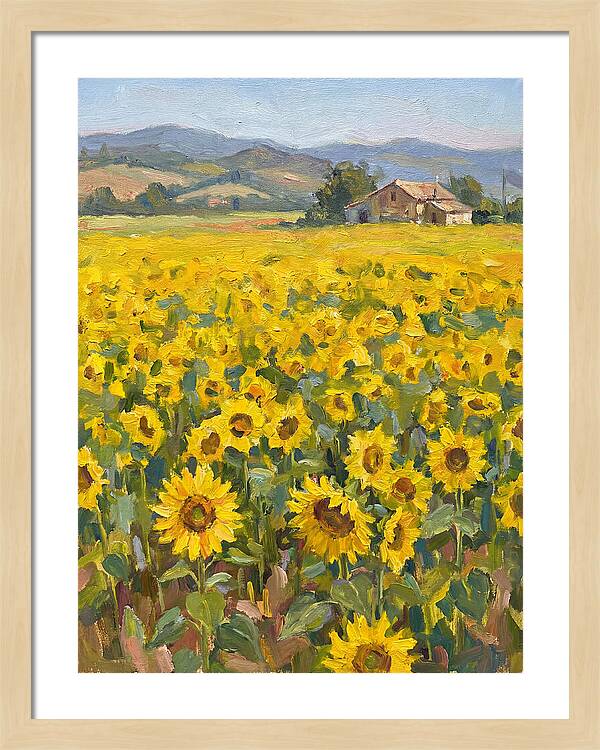 Sunflower Field Serenity
