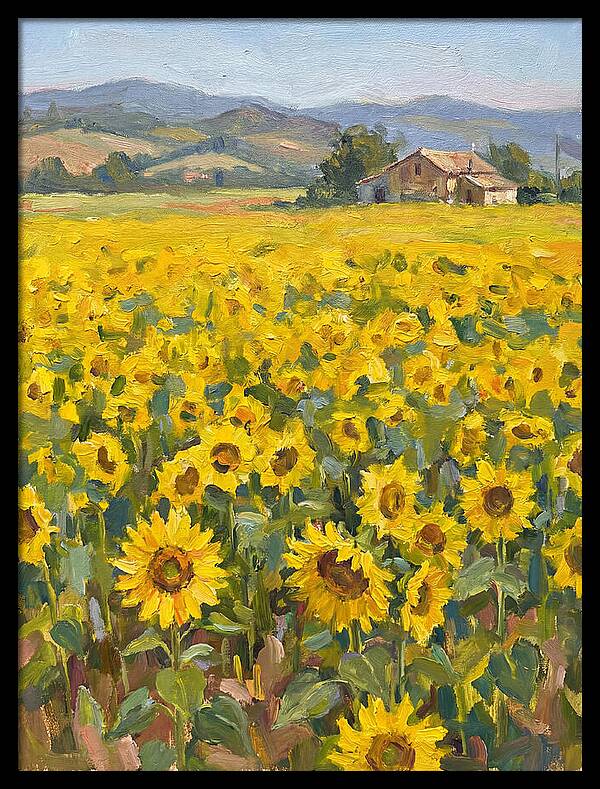 Sunflower Field Serenity
