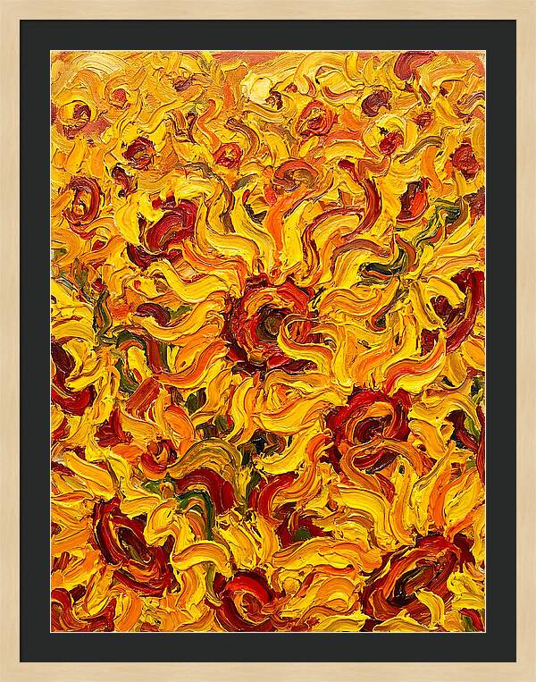 Sunflower Field Symphony