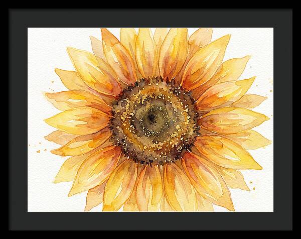 Sunflower In Bloom