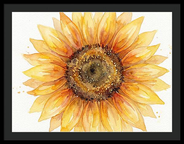 Sunflower In Bloom