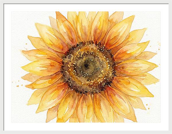 Sunflower In Bloom