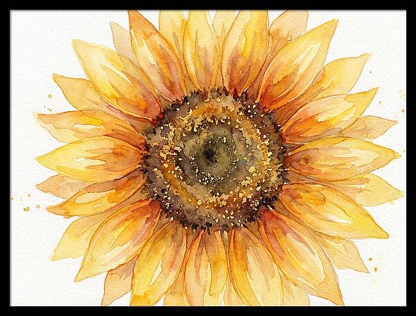 Sunflower In Bloom