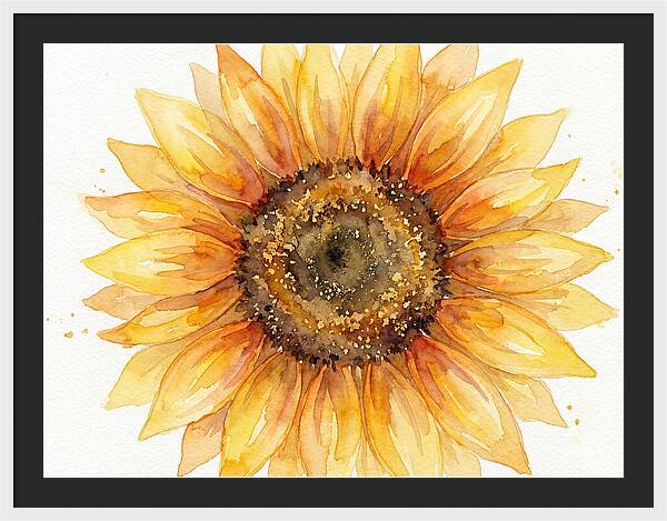 Sunflower In Bloom