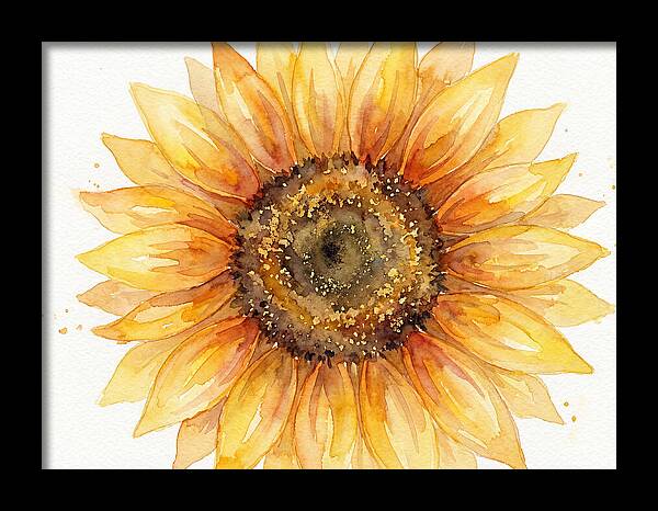 Sunflower In Bloom